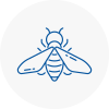Bee Nest Removal Burnley