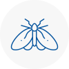 Moth Control Specialists In Burnley